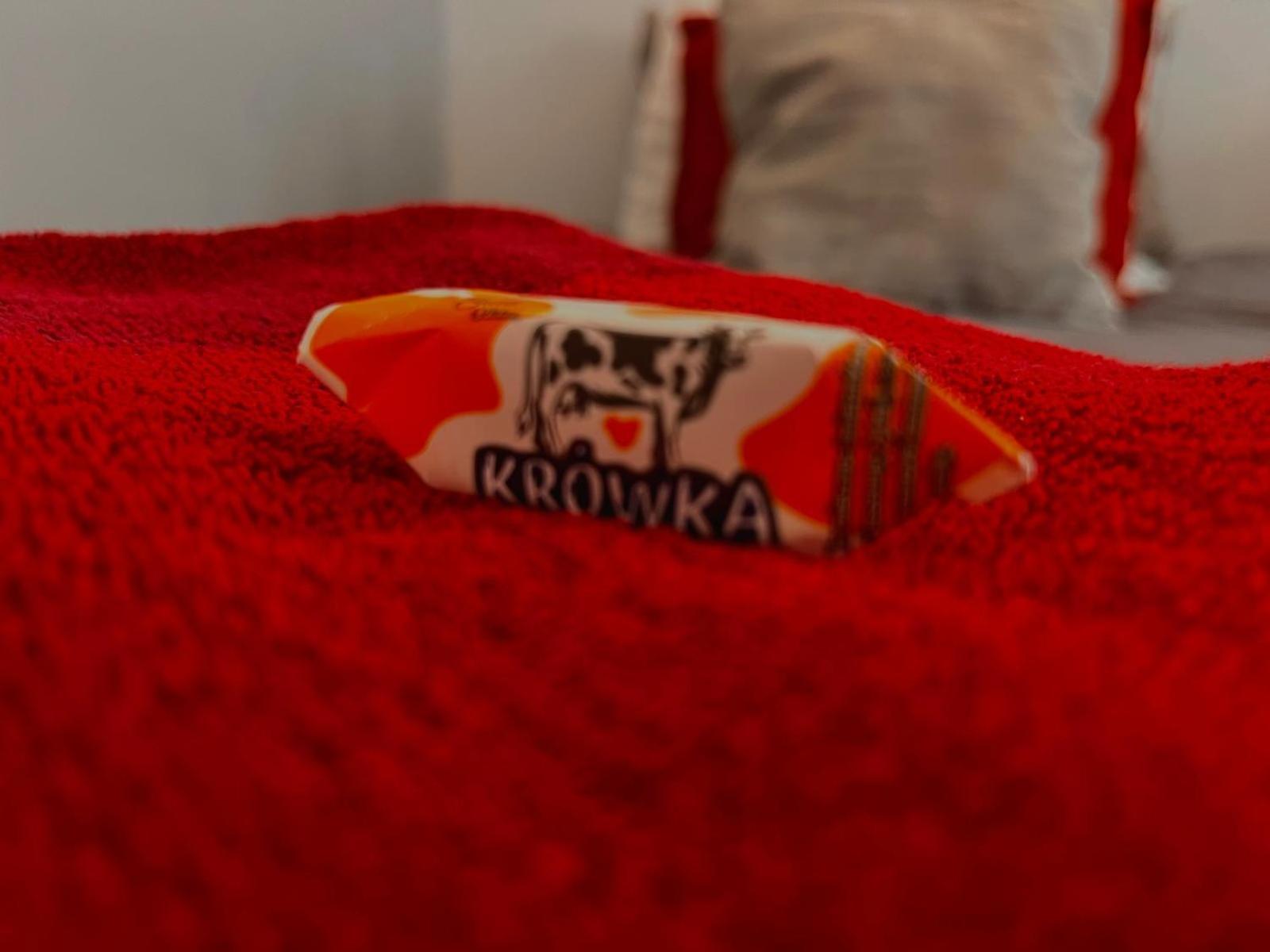 Special 1 Bed Room Condo Warszawa Center Экстерьер фото